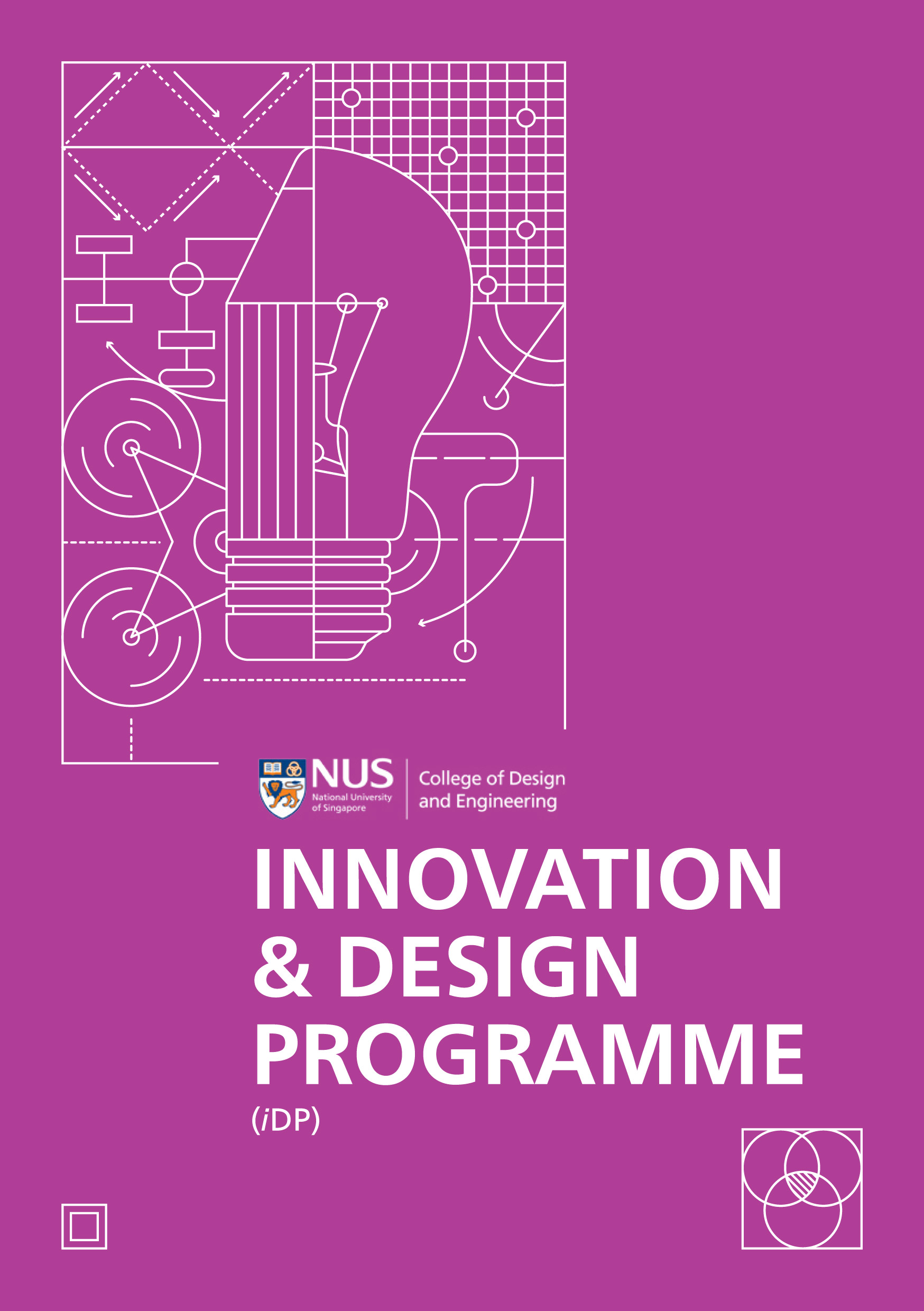 NUS CDE Innovation & Design Programme - 2024