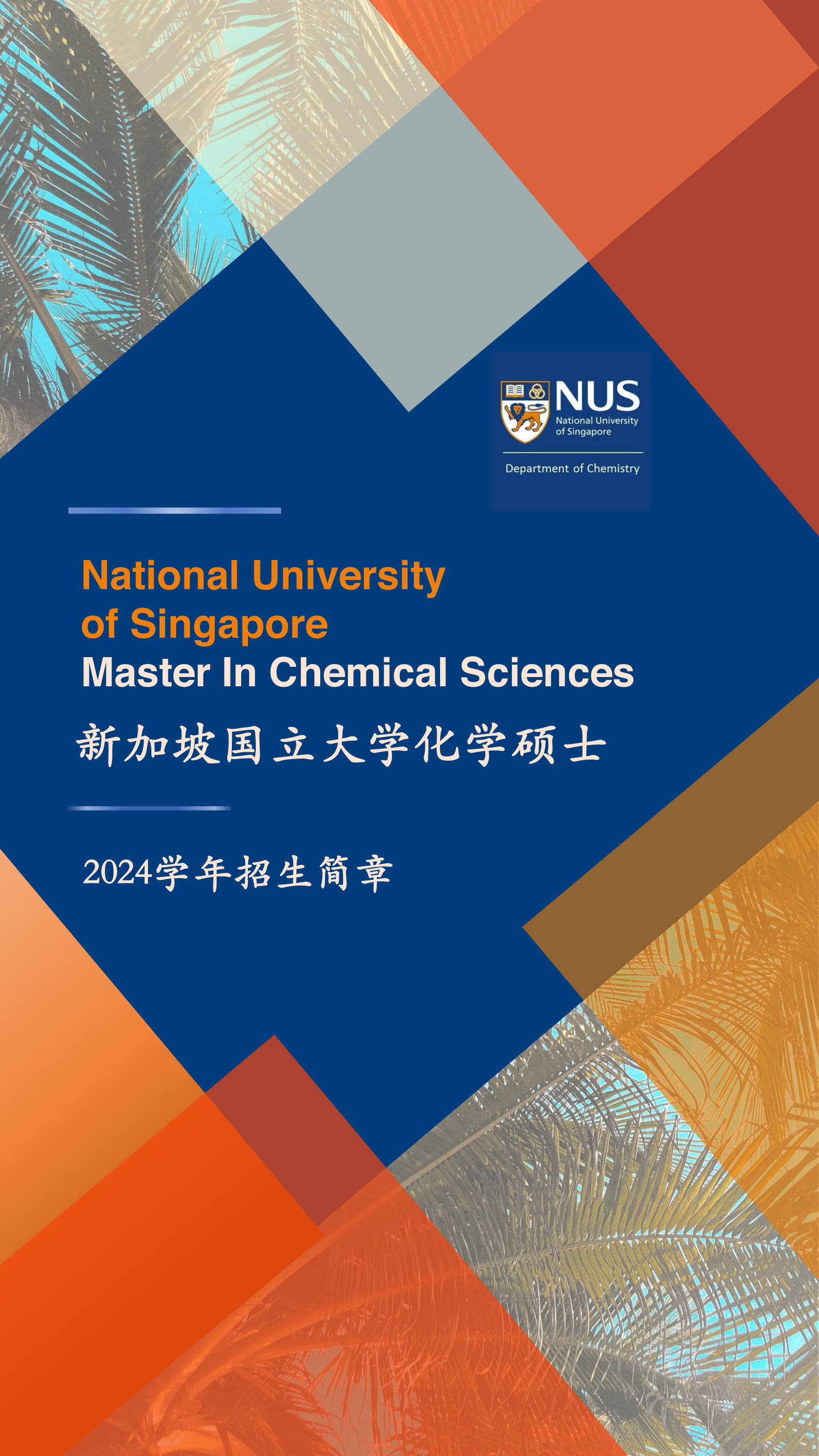 national university of singapore social media work